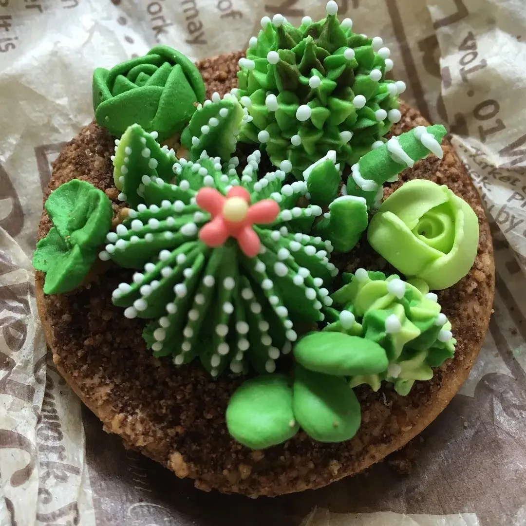 驚きの多肉植物 クッキー！見た目も味も絶対感動の手作りあんこ和菓子ギフト